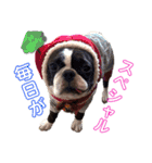 看板犬ぺろの1日（個別スタンプ：7）