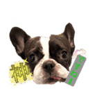 看板犬ぺろの1日（個別スタンプ：16）