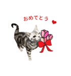 アメショ猫 いろいろなご挨拶（個別スタンプ：3）