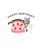 アメショ猫 いろいろなご挨拶（個別スタンプ：6）
