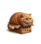 Hideyoshi the cat（個別スタンプ：1）