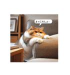 Hideyoshi the cat（個別スタンプ：5）