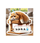 Hideyoshi the cat（個別スタンプ：14）