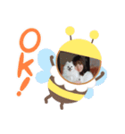 白ポメみみちゃんのスタンプ（個別スタンプ：3）