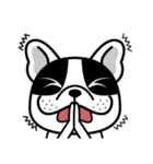 THE FRENCH BULLDOG (PIED)（個別スタンプ：11）