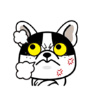 THE FRENCH BULLDOG (PIED)（個別スタンプ：19）