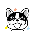 THE FRENCH BULLDOG (PIED)（個別スタンプ：28）