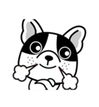 THE FRENCH BULLDOG (PIED)（個別スタンプ：38）