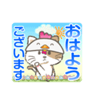 【動く】猫かぶりにゃんこ（個別スタンプ：1）