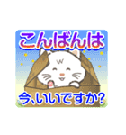 【動く】猫かぶりにゃんこ（個別スタンプ：22）