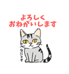 コミカルな表情の猫にゃん（個別スタンプ：21）