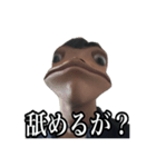 カナガワカイナシヒビキカエル3（個別スタンプ：6）