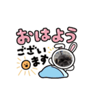 うちのlovely dog小太郎（個別スタンプ：4）