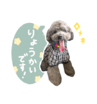 毎日使える♪あずきのLINEスタンプ（個別スタンプ：4）