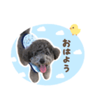 毎日使える♪あずきのLINEスタンプ（個別スタンプ：5）