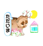 猫界隈 スコ ベンガル エキゾチックあお（個別スタンプ：4）