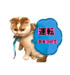 猫界隈 スコ ベンガル エキゾチックあお（個別スタンプ：6）
