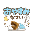 かわいい♡トイプードル♡愛犬（個別スタンプ：4）