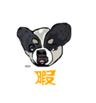 ペロちゃんズ（個別スタンプ：1）
