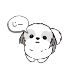 シーズースタンプ Stickers_Shih Tzu_k3（個別スタンプ：16）