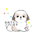 シーズースタンプ Stickers_Shih Tzu_k3（個別スタンプ：22）