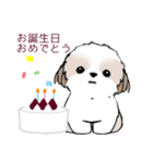 シーズースタンプ Stickers_Shih Tzu_k3（個別スタンプ：24）