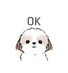 シーズースタンプ Stickers_Shih Tzu_k3（個別スタンプ：31）