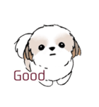 シーズースタンプ Stickers_Shih Tzu_k3（個別スタンプ：35）