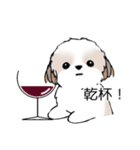 シーズースタンプ Stickers_Shih Tzu_k3（個別スタンプ：40）