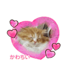 ♡みぃも♡（個別スタンプ：30）