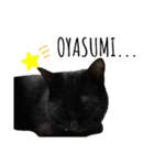 黒猫ナイト君 第1弾（個別スタンプ：2）