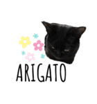黒猫ナイト君 第1弾（個別スタンプ：4）