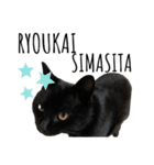 黒猫ナイト君 第1弾（個別スタンプ：8）