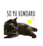 黒猫ナイト君 第1弾（個別スタンプ：10）