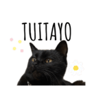 黒猫ナイト君 第1弾（個別スタンプ：12）