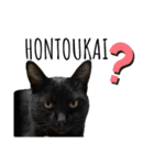 黒猫ナイト君 第1弾（個別スタンプ：17）