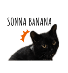 黒猫ナイト君 第1弾（個別スタンプ：18）