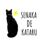 黒猫ナイト君 第1弾（個別スタンプ：23）