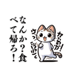 日本猫モリちゃんとの暮らしを楽しんで！（個別スタンプ：20）