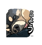 ペロちゃんと！❺（個別スタンプ：4）