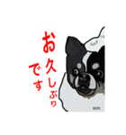 ペロちゃんと！❺（個別スタンプ：6）