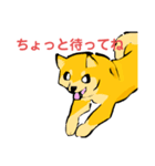 ー犬のスタンプー（個別スタンプ：5）