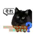 黒猫 ルナ院長142にゃんめ（個別スタンプ：2）