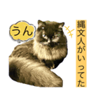 黒猫 ルナ院長142にゃんめ（個別スタンプ：3）