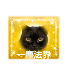 黒猫 ルナ院長142にゃんめ（個別スタンプ：5）