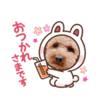 トイプーのマロンちゃんの日常（個別スタンプ：4）