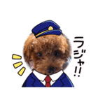 トイプーのマロンちゃんの日常（個別スタンプ：6）