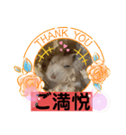 天使ん爛漫ハムスターきいちゃん3〜笑顔〜（個別スタンプ：1）