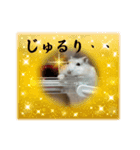 天使ん爛漫ハムスターきいちゃん3〜笑顔〜（個別スタンプ：2）
