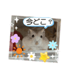 天使ん爛漫ハムスターきいちゃん3〜笑顔〜（個別スタンプ：3）